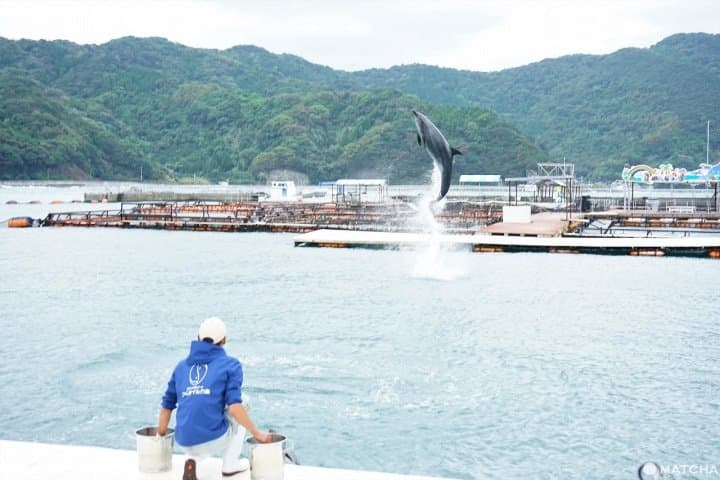 荘厳な石仏に絶景、そして美食文化!大分県県南の魅力的なスポット10選