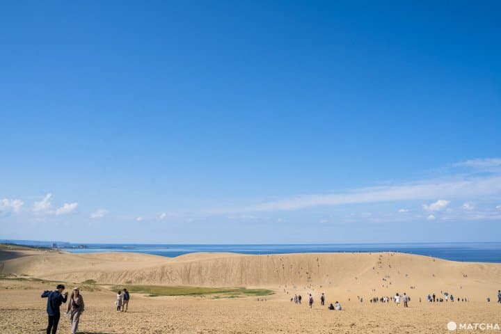 鳥取景點鳥取砂丘