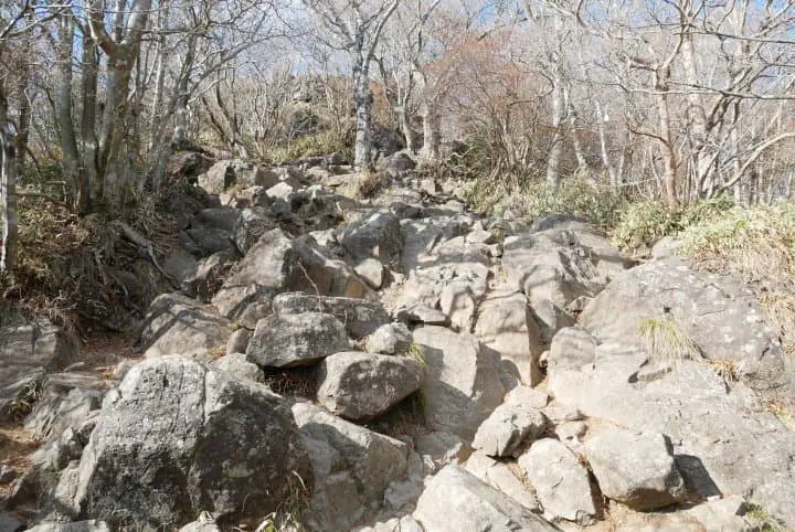利用「筑波山Story套票」挑戰日本百名山