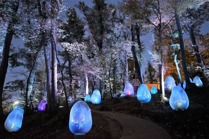 Explore Anime and Pop-Culture Spots With the SEIBU 1-Day Pass