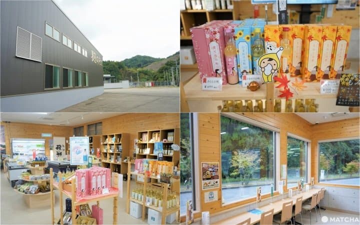 荘厳な石仏に絶景、グルメ!大分県南部のオススメスポット10選
