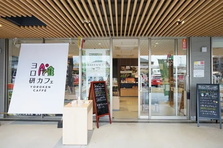 Unique Art Museums in Saitama - Dolls, Bonsai, and Cartoon History