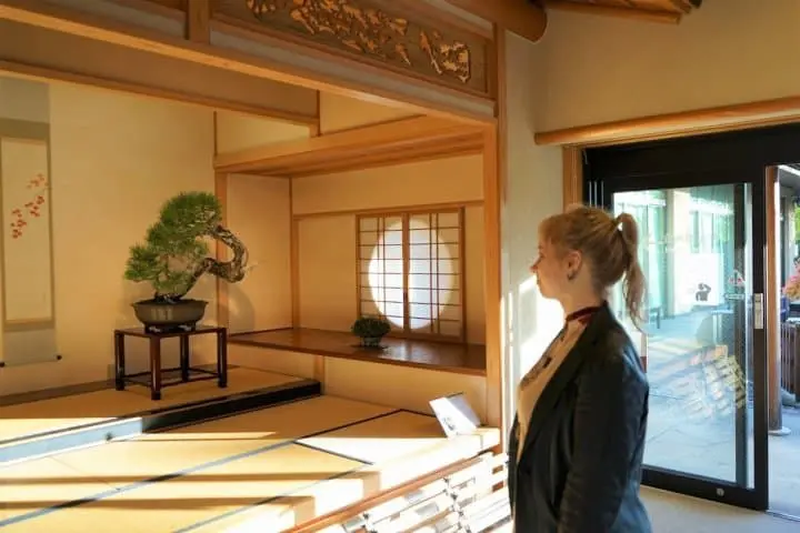 Unique Art Museums in Saitama - Dolls, Bonsai, and Cartoon History