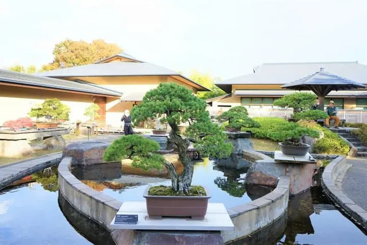 Unique Art Museums in Saitama - Dolls, Bonsai, and Cartoon History