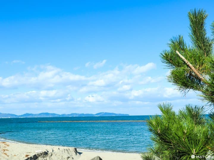 鳥取皆生温泉