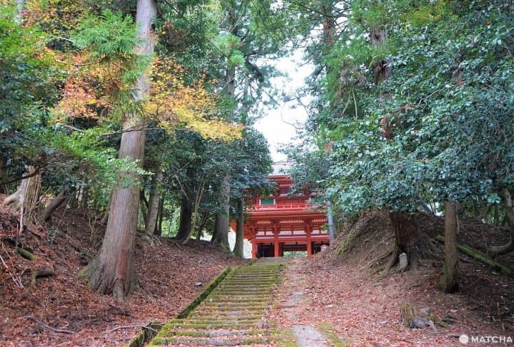 伝統工芸と絶景の宝庫 森の京都 で行くべき10スポット Matcha 訪日外国人観光客向けwebマガジン