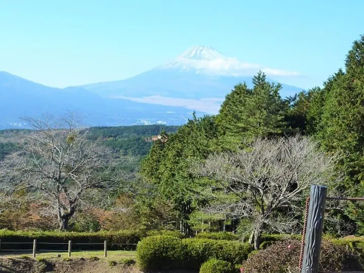 Great Views and Beautiful Shrines! Traveling From Mishima to Hakone