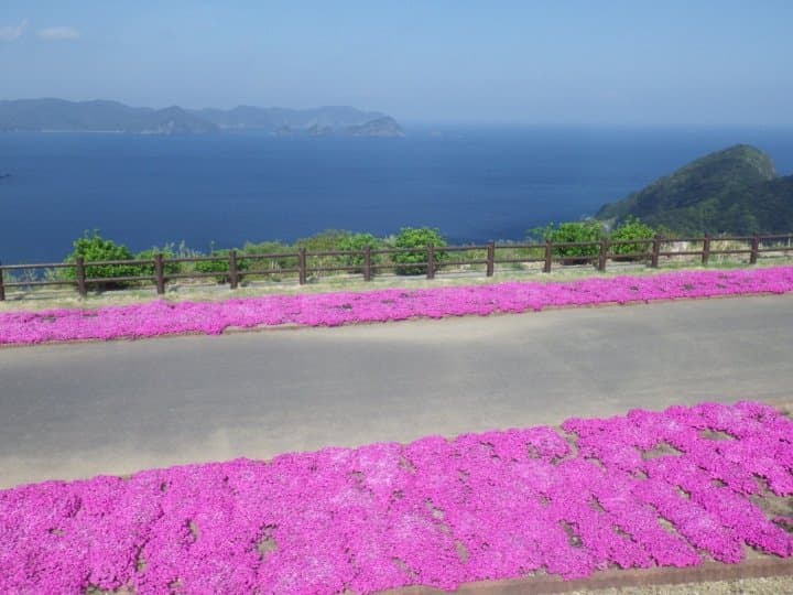 荘厳な石仏に絶景、グルメ!大分県南部のオススメスポット10選