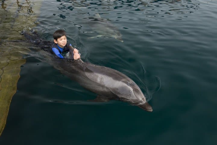 荘厳な石仏に絶景、グルメ!大分県南部のオススメスポット10選