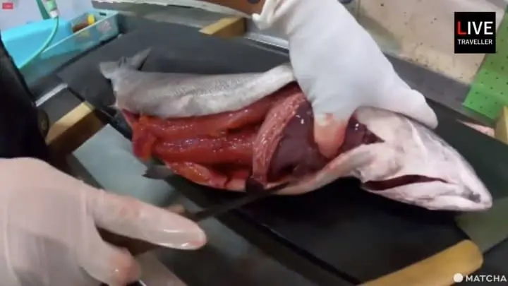 旅行新型態!遠端旅行正流行