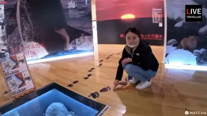 旅行新型態!遠端旅行正流行