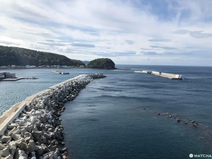 旅行新型態!遠端旅行正流行