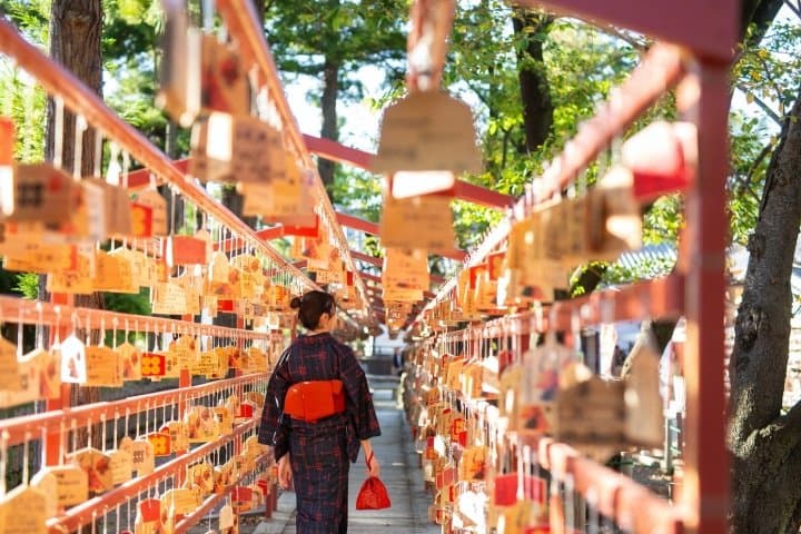 上田紬體驗