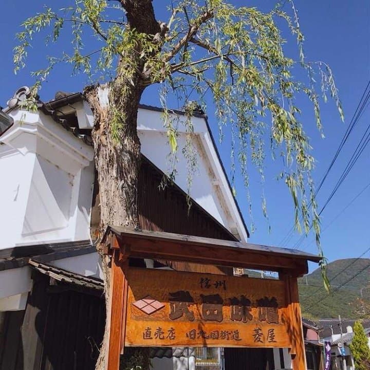 武田味噌