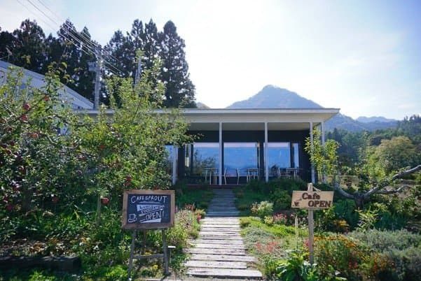 Cafe Sprout