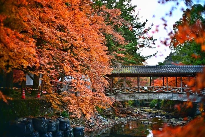 【廣島】三原不只是轉乘站,在地美景與美食絕對值得您途中下車!
