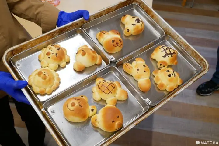 【廣島】三原不只是轉乘站，在地美景與美食絕對值得您途中下車！