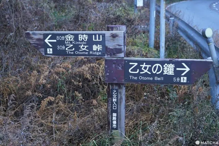 Views of Mt. Fuji and an Adventure on Mt. Kintoki