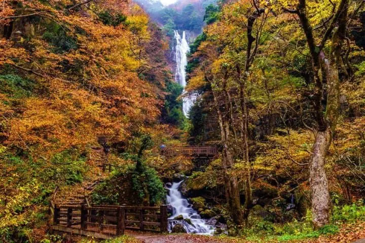 岡山冬日活動 三大奇祭「裸祭」、日本百景神庭瀑布、湯原溫泉與蒜山溫雪場