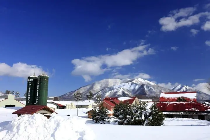 岡山冬日活動 三大奇祭「裸祭」、日本百景神庭瀑布、湯原溫泉與蒜山溫雪場