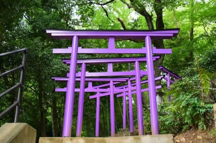 鳥居不只朱紅色！盤點日本9種顏色鳥居 隱世神社竟藏七彩鳥居
