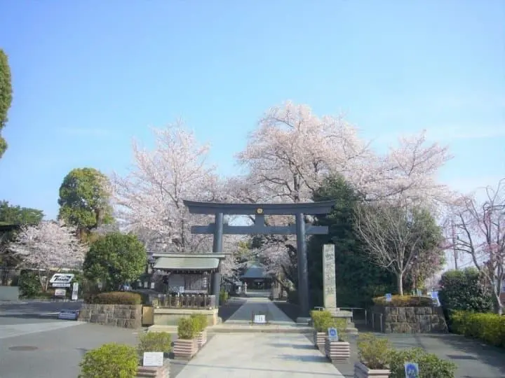 鳥居不只朱紅色！盤點日本9種顏色鳥居 隱世神社竟藏七彩鳥居