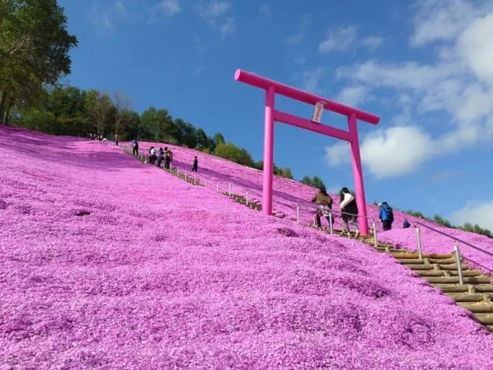 鳥居不只朱紅色！盤點日本9種顏色鳥居 隱世神社竟藏七彩鳥居