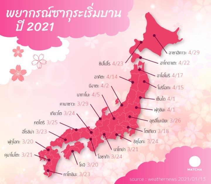sakura