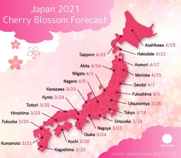 Japan's Cherry Blossoms in 2021 - Forecast and Best Spots