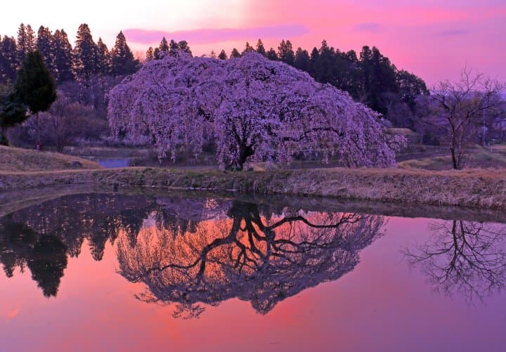 棚仓町
