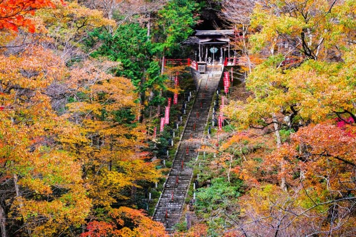 山本不动尊