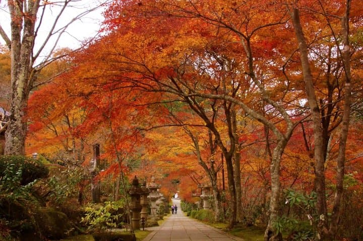山本不动尊