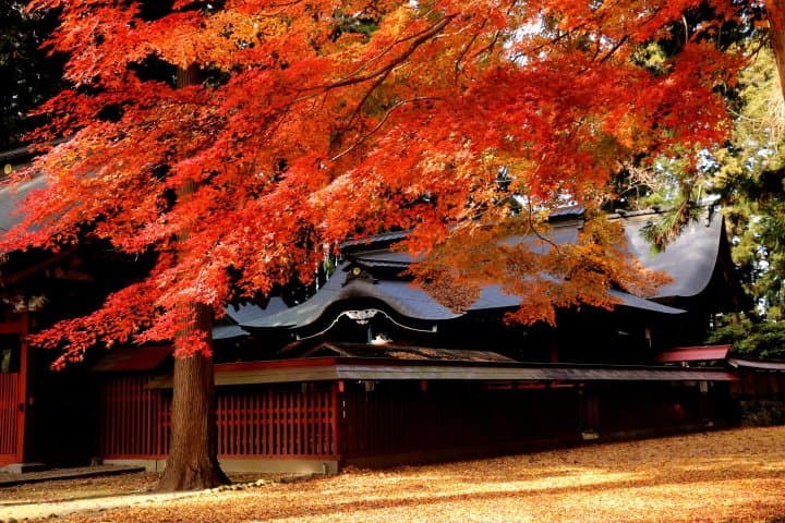 八槻都都古别神社