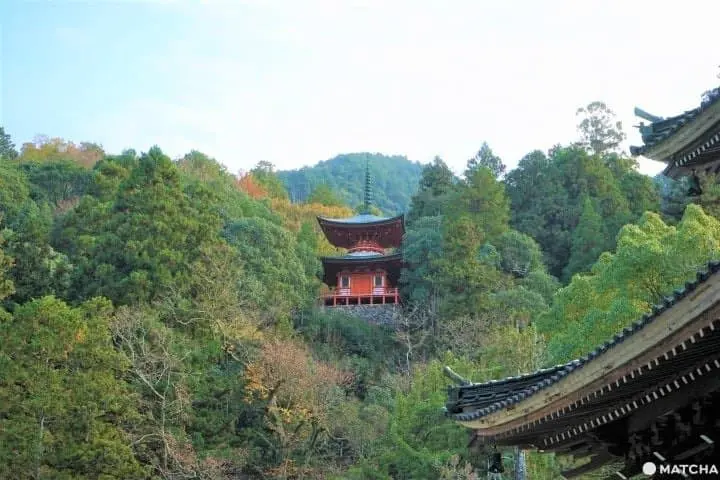 Near Hiroshima! Mihara: Food, Fun Activities, and Amazing Places to Visit