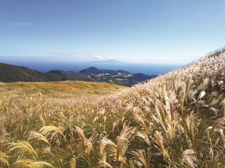 細野高原
