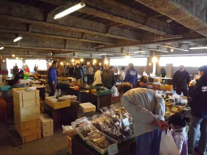 【東京近郊】體驗朝市、黑船電車、美食、美景的東伊豆之旅