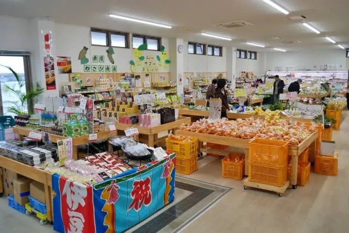 【東京近郊】體驗朝市、黑船電車、美食、美景的東伊豆之旅