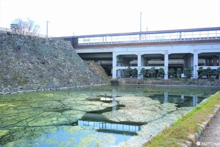 Near Hiroshima! Mihara: Food, Fun Activities, and Amazing Places to Visit