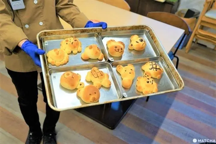 Near Hiroshima! Mihara: Food, Fun Activities, and Amazing Places to Visit