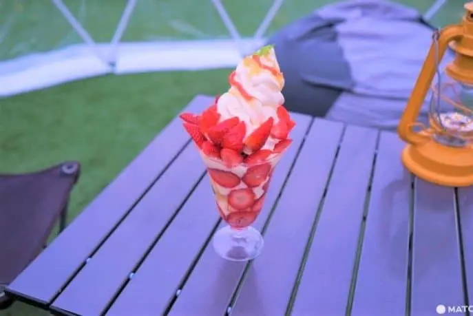 Near Hiroshima! Mihara: Food, Fun Activities, and Amazing Places to Visit