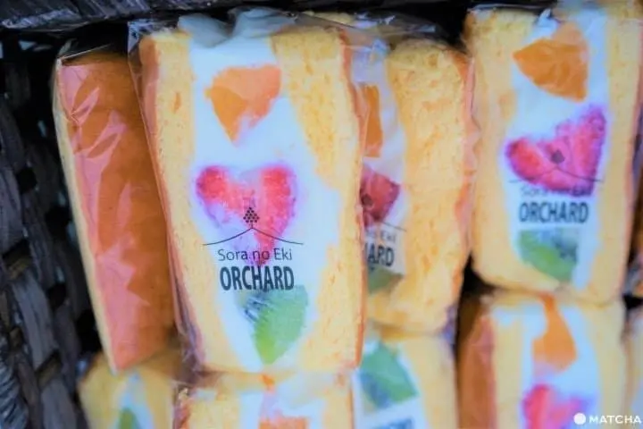 Near Hiroshima! Mihara: Food, Fun Activities, and Amazing Places to Visit