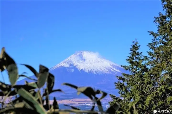 Views of Mt. Fuji and an Adventure on Mt. Kintoki