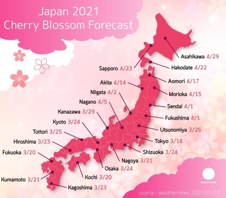 10 Cherry Blossom Spots In Osaka - When And Where To Do Hanami