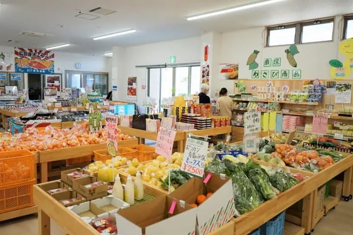 Every Girl's Dream! See Hanging Hina Doll Decorations in Higashiizu