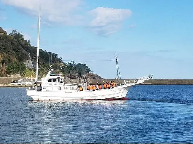Every Girl's Dream! See Hanging Hina Doll Decorations in Higashiizu