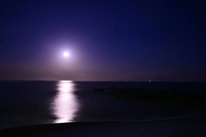 Every Girl's Dream! See Hanging Hina Doll Decorations in Higashiizu