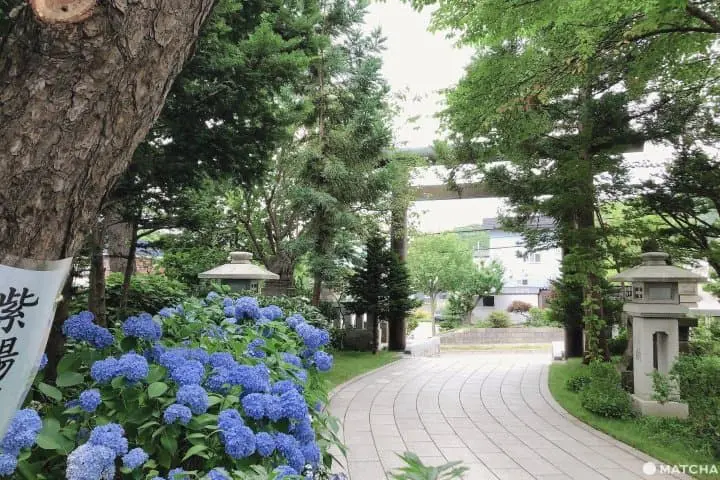 札幌