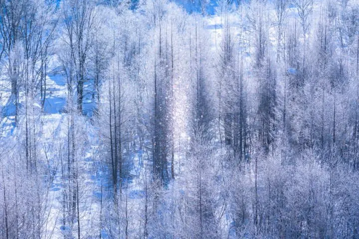 日文學習日語學習_擬聲擬態語