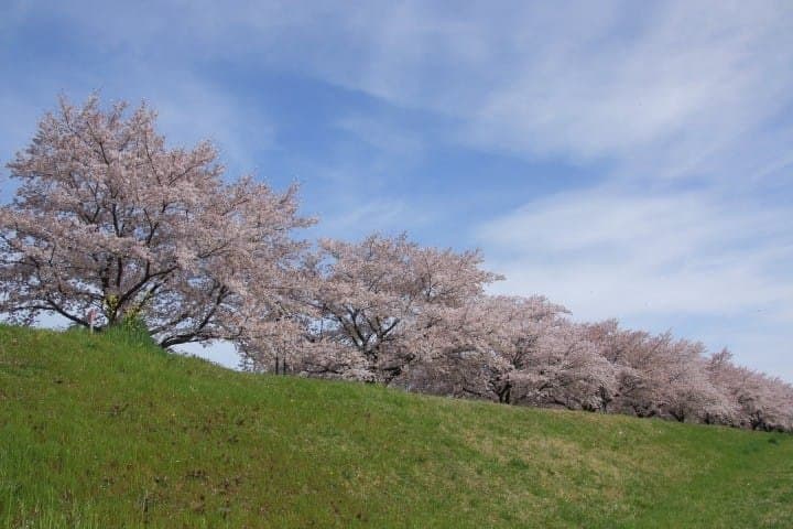 星巴克 埼玉縣狹山市河川敷中央公園