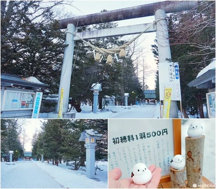 เที่ยวฮอกไกโดไม่ต้องเช่ารถขับที่โอบิฮิโระ กิจกรรมหิมะสบายๆ ของอร่อยเพียบ!